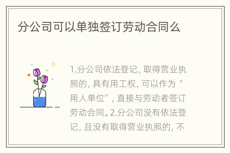 分公司可以单独签订劳动合同么