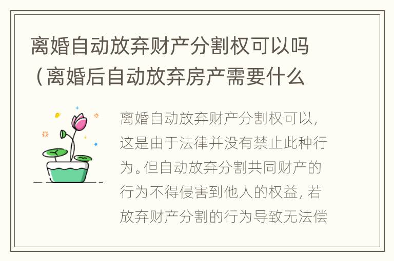 离婚自动放弃财产分割权可以吗（离婚后自动放弃房产需要什么手续）