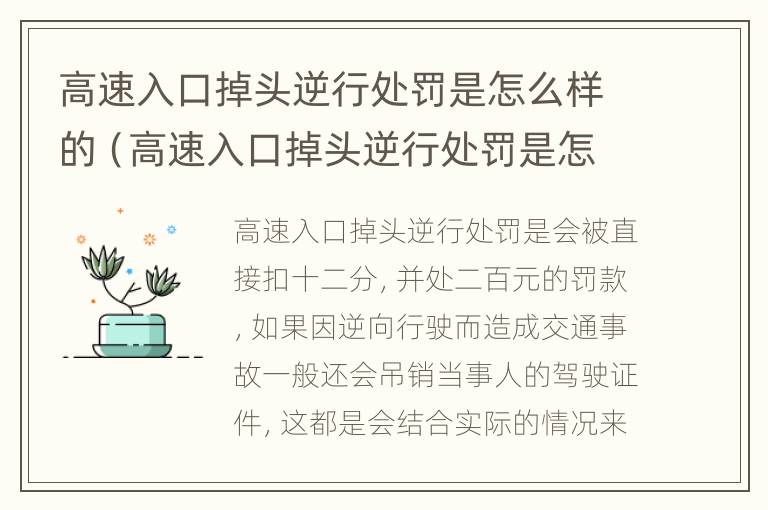 高速入口掉头逆行处罚是怎么样的（高速入口掉头逆行处罚是怎么样的行为）