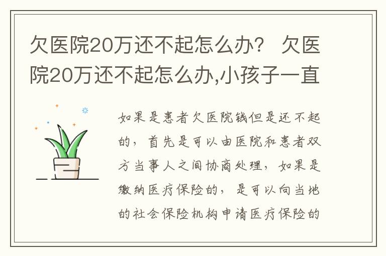 欠医院20万还不起怎么办？ 欠医院20万还不起怎么办,小孩子一直靠呼吸机保命