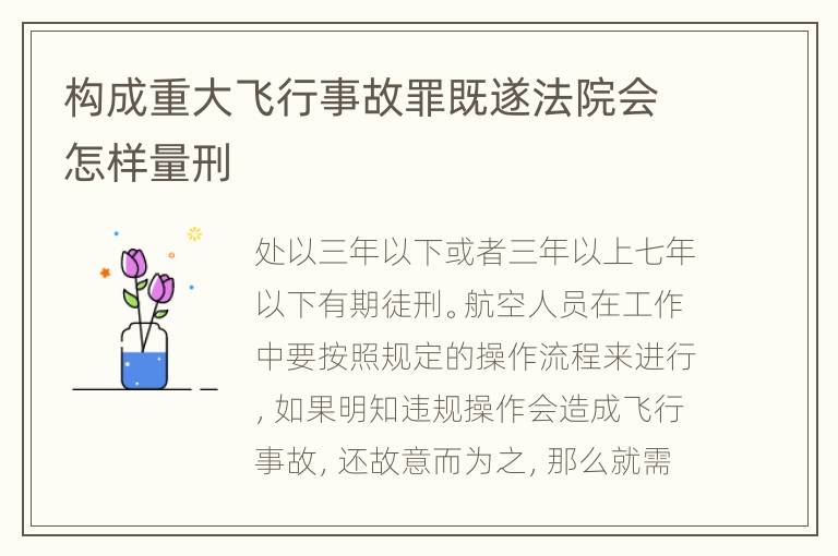 构成重大飞行事故罪既遂法院会怎样量刑