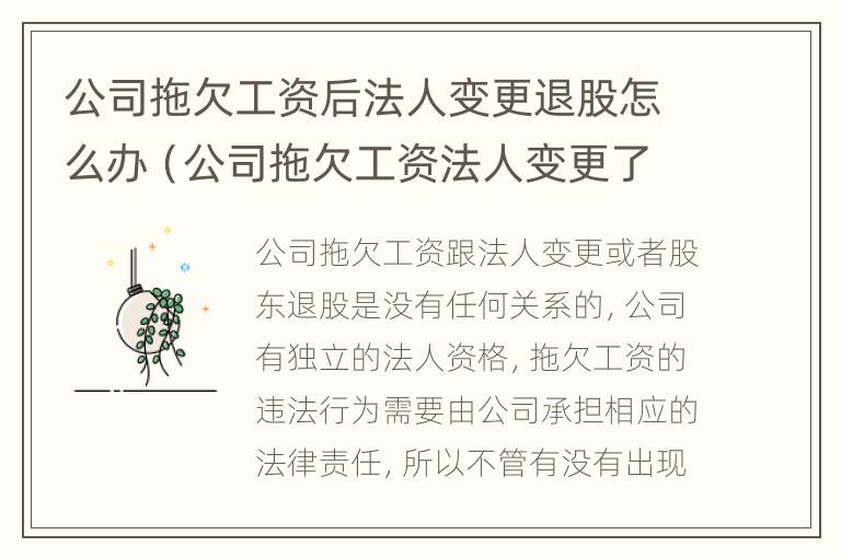 公司拖欠工资后法人变更退股怎么办（公司拖欠工资法人变更了怎么办）