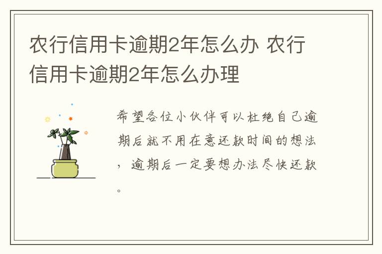 农行信用卡逾期2年怎么办 农行信用卡逾期2年怎么办理