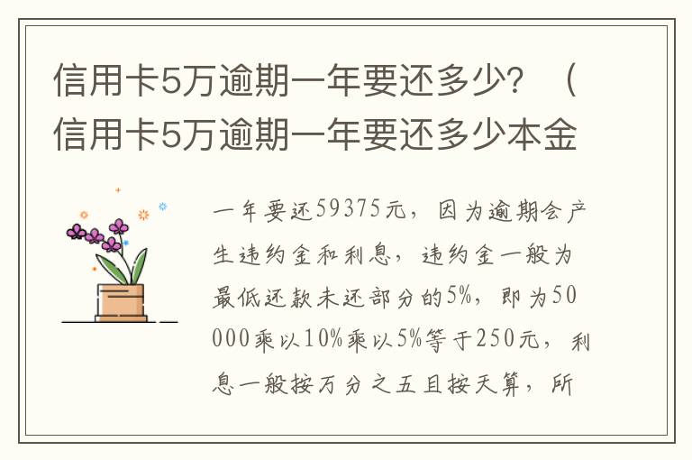 信用卡5万逾期一年要还多少？（信用卡5万逾期一年要还多少本金）