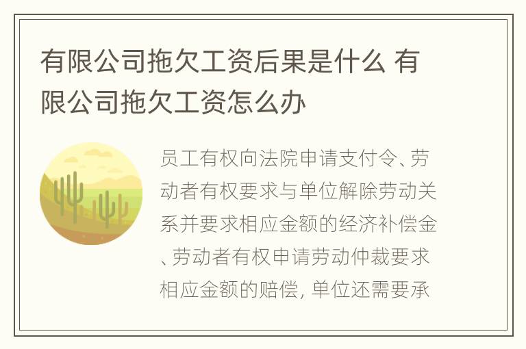 有限公司拖欠工资后果是什么 有限公司拖欠工资怎么办