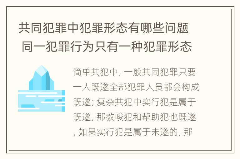 共同犯罪中犯罪形态有哪些问题 同一犯罪行为只有一种犯罪形态