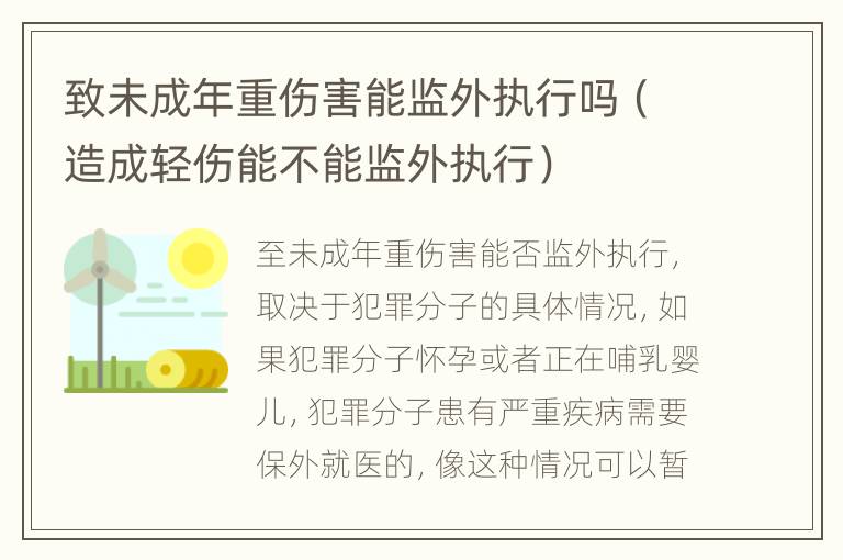 致未成年重伤害能监外执行吗（造成轻伤能不能监外执行）