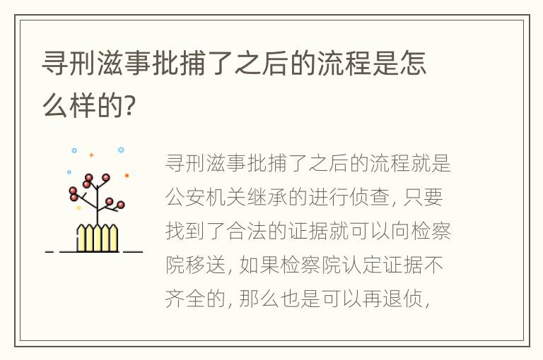 寻刑滋事批捕了之后的流程是怎么样的？