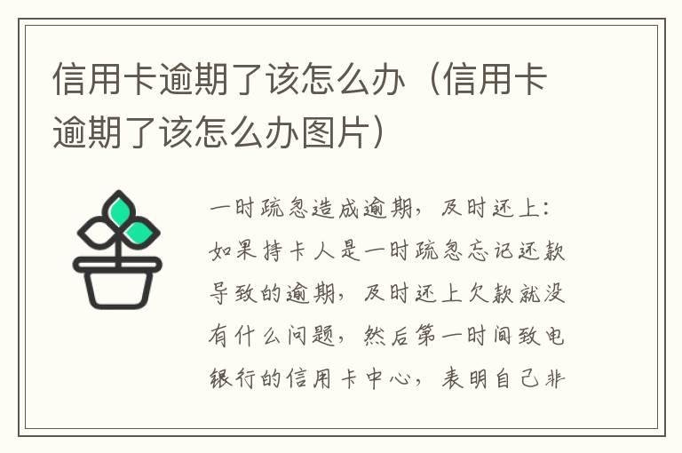 信用卡逾期了该怎么办（信用卡逾期了该怎么办图片）