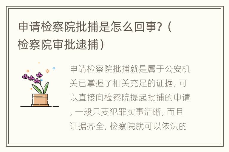 申请检察院批捕是怎么回事？（检察院审批逮捕）