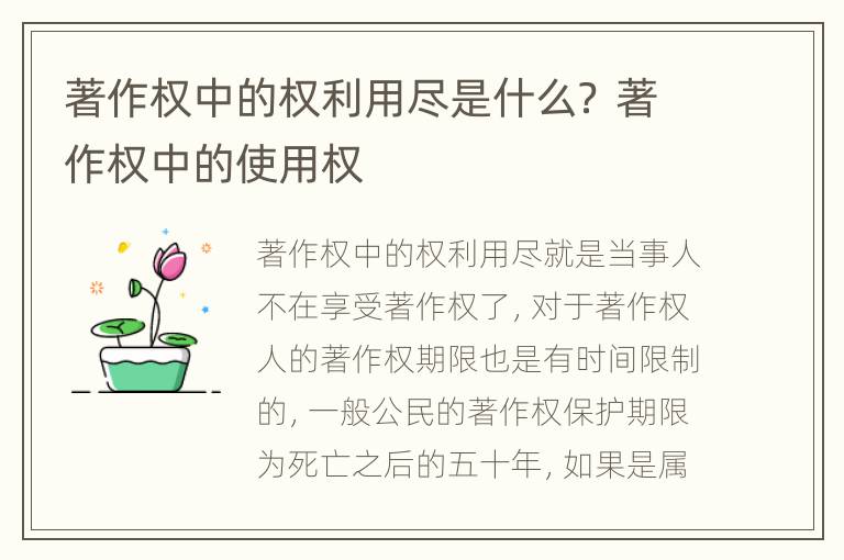 著作权中的权利用尽是什么？ 著作权中的使用权