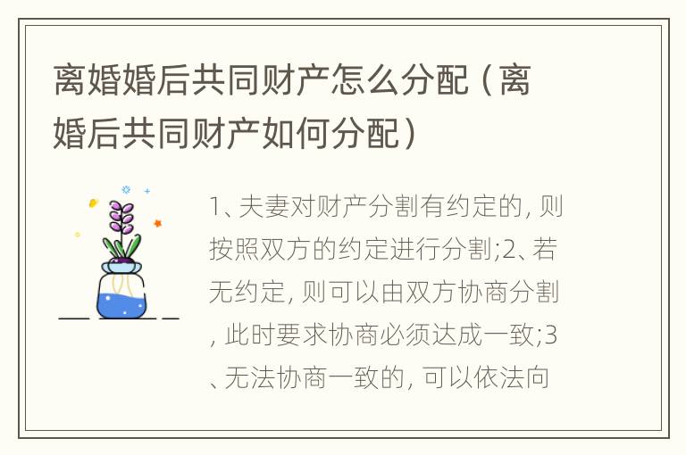 离婚婚后共同财产怎么分配（离婚后共同财产如何分配）