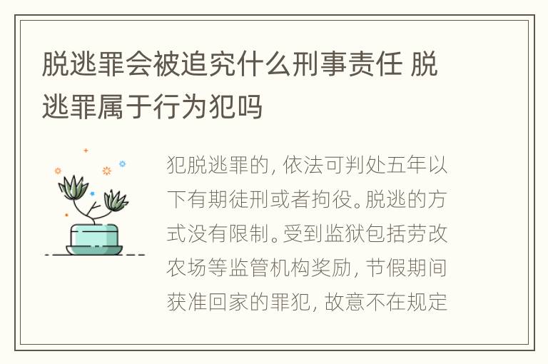 脱逃罪会被追究什么刑事责任 脱逃罪属于行为犯吗