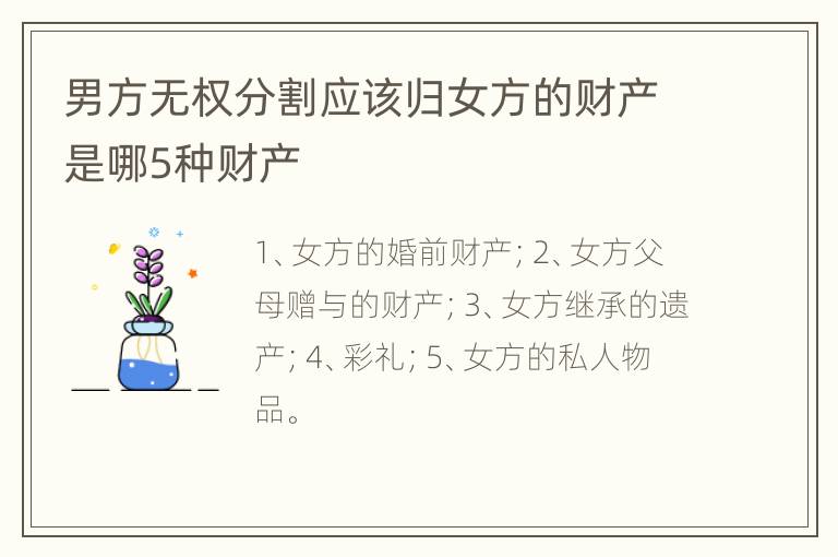 男方无权分割应该归女方的财产是哪5种财产