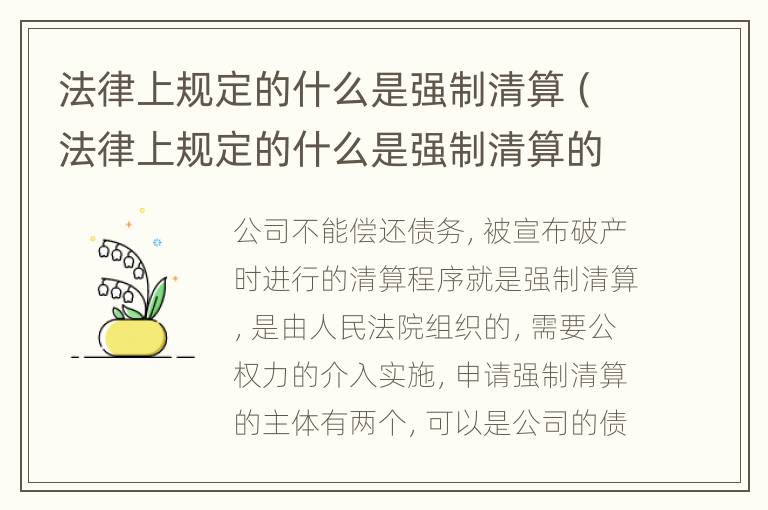 法律上规定的什么是强制清算（法律上规定的什么是强制清算的主体）