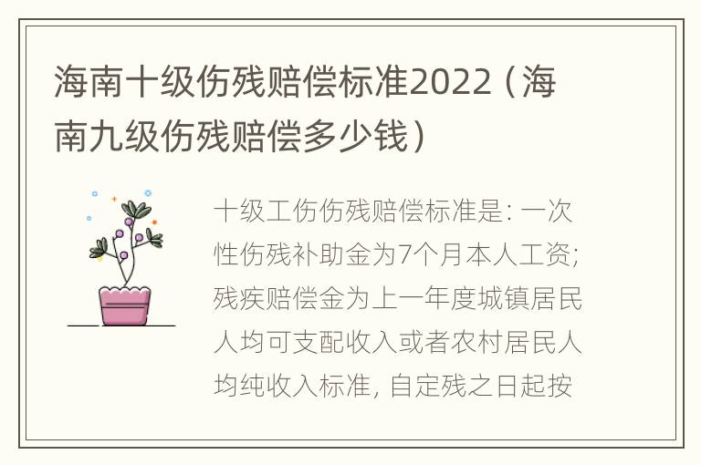 海南十级伤残赔偿标准2022（海南九级伤残赔偿多少钱）