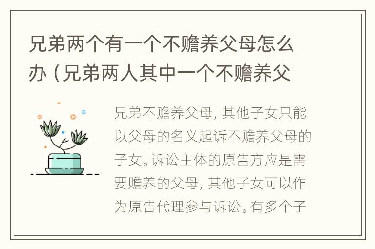 兄弟两个有一个不赡养父母怎么办（兄弟两人其中一个不赡养父母）