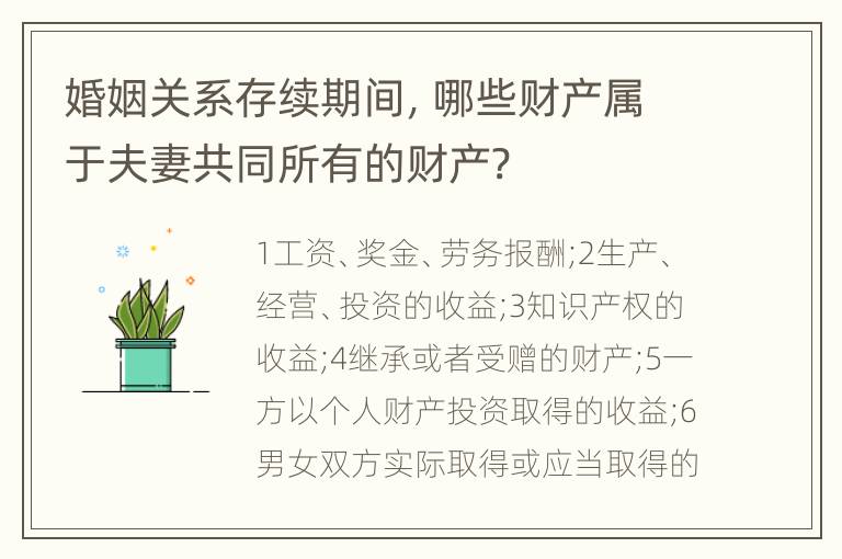 婚姻关系存续期间，哪些财产属于夫妻共同所有的财产?