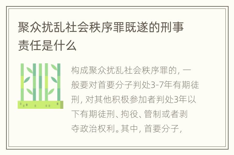 聚众扰乱社会秩序罪既遂的刑事责任是什么