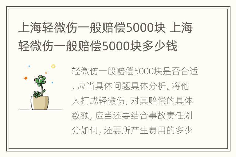 上海轻微伤一般赔偿5000块 上海轻微伤一般赔偿5000块多少钱