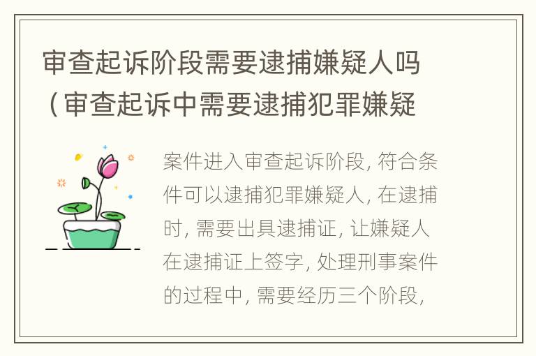 审查起诉阶段需要逮捕嫌疑人吗（审查起诉中需要逮捕犯罪嫌疑人）