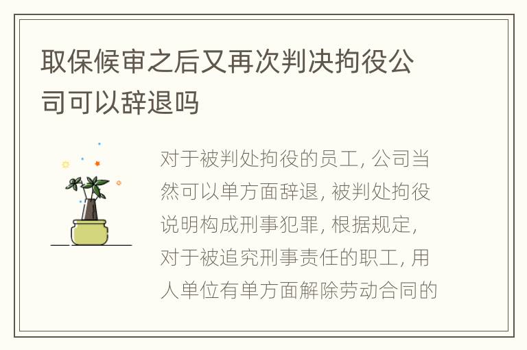 取保候审之后又再次判决拘役公司可以辞退吗