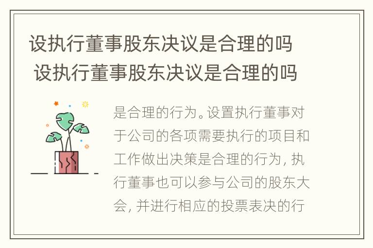 设执行董事股东决议是合理的吗 设执行董事股东决议是合理的吗为什么