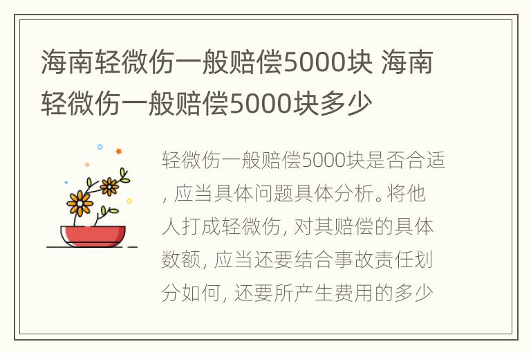 海南轻微伤一般赔偿5000块 海南轻微伤一般赔偿5000块多少