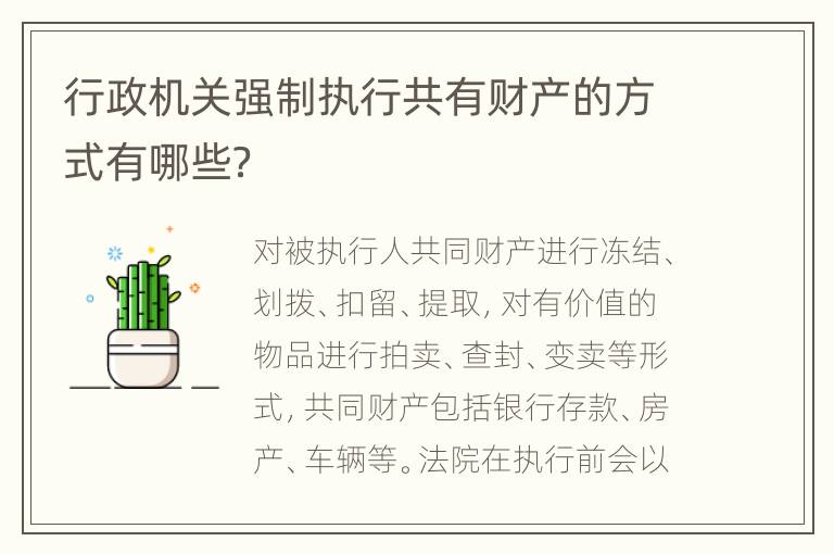 行政机关强制执行共有财产的方式有哪些？