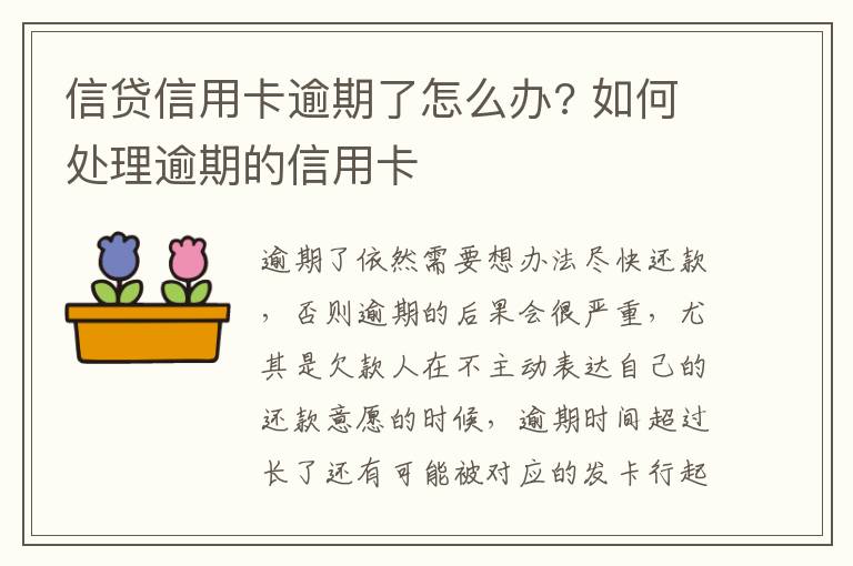 信贷信用卡逾期了怎么办? 如何处理逾期的信用卡