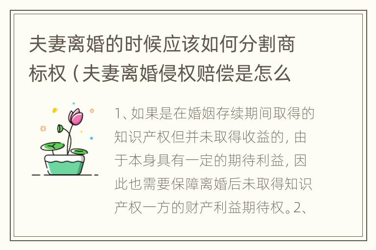 夫妻离婚的时候应该如何分割商标权（夫妻离婚侵权赔偿是怎么回事）