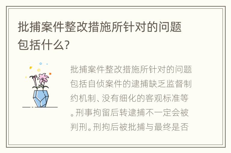 批捕案件整改措施所针对的问题包括什么？