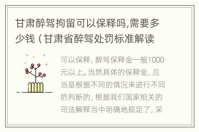 甘肃醉驾拘留可以保释吗,需要多少钱（甘肃省醉驾处罚标准解读意见）