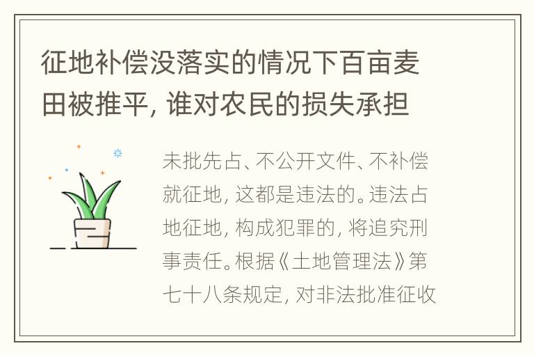 征地补偿没落实的情况下百亩麦田被推平，谁对农民的损失承担赔偿责任