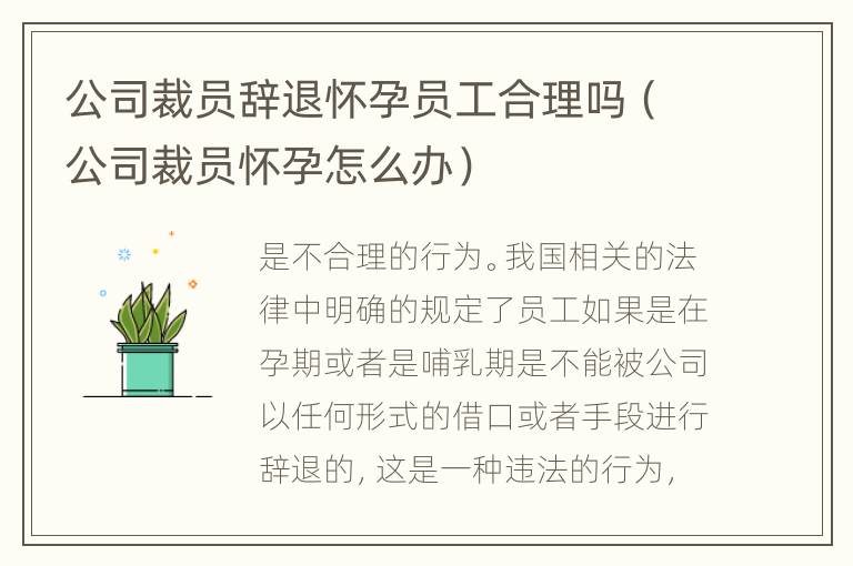 公司裁员辞退怀孕员工合理吗（公司裁员怀孕怎么办）