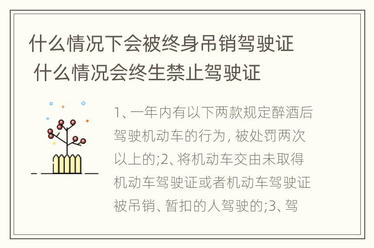 什么情况下会被终身吊销驾驶证 什么情况会终生禁止驾驶证