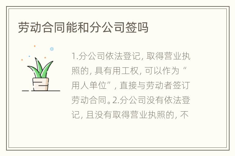 劳动合同能和分公司签吗