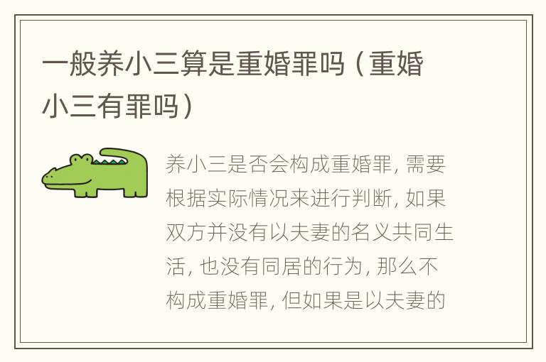 一般养小三算是重婚罪吗（重婚小三有罪吗）