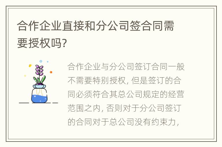 合作企业直接和分公司签合同需要授权吗？