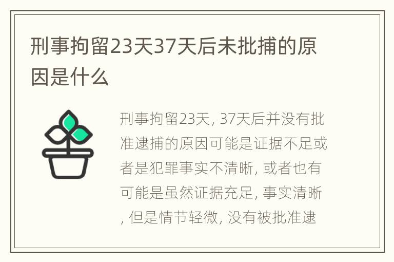 刑事拘留23天37天后未批捕的原因是什么