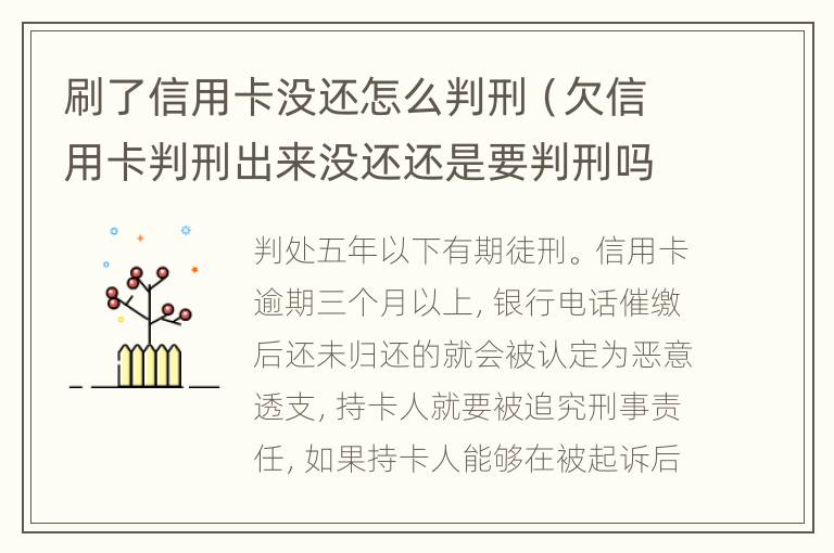 刷了信用卡没还怎么判刑（欠信用卡判刑出来没还还是要判刑吗）