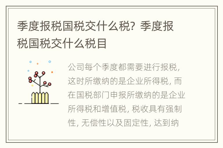 季度报税国税交什么税？ 季度报税国税交什么税目