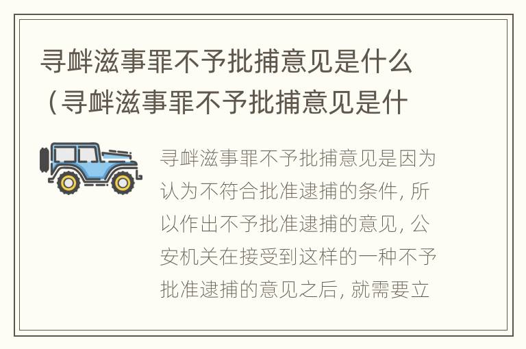 寻衅滋事罪不予批捕意见是什么（寻衅滋事罪不予批捕意见是什么意思）