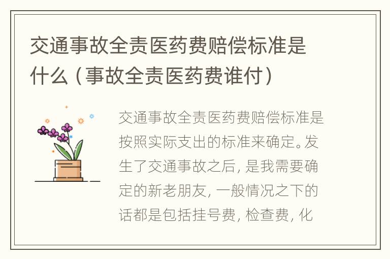 交通事故全责医药费赔偿标准是什么（事故全责医药费谁付）