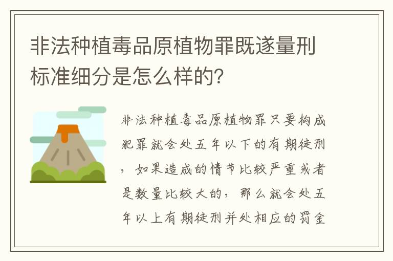 非法种植毒品原植物罪既遂量刑标准细分是怎么样的？