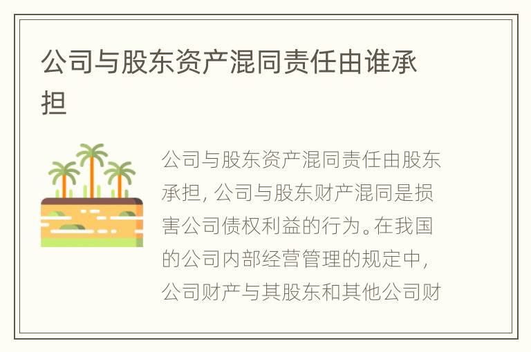 公司与股东资产混同责任由谁承担