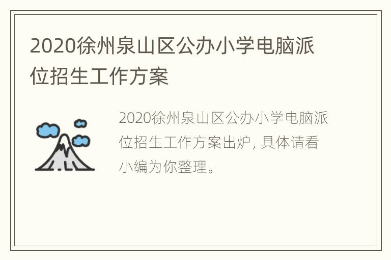 2020徐州泉山区公办小学电脑派位招生工作方案