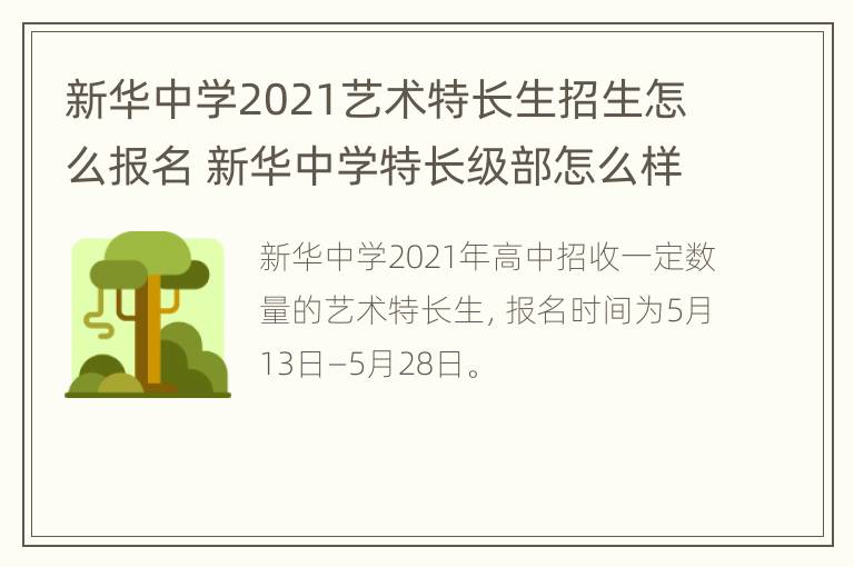 新华中学2021艺术特长生招生怎么报名 新华中学特长级部怎么样