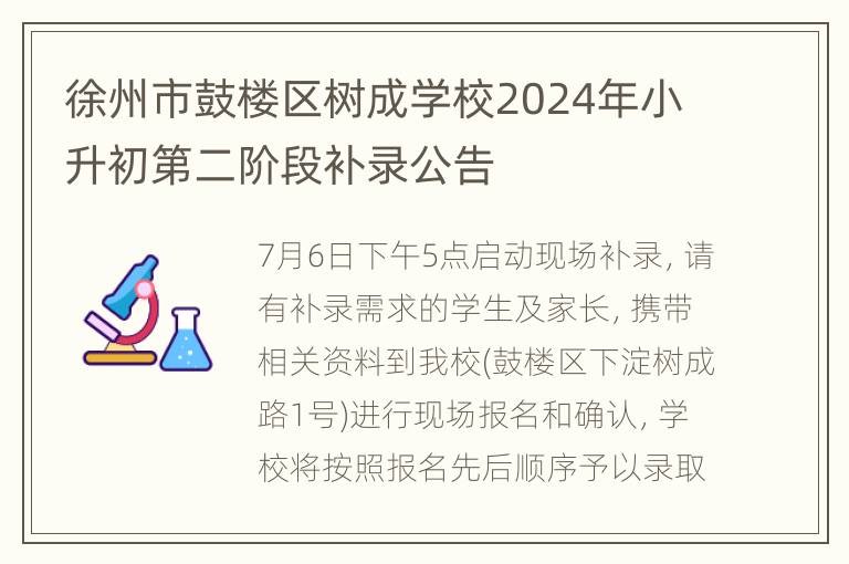 徐州市鼓楼区树成学校2024年小升初第二阶段补录公告