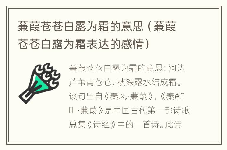 蒹葭苍苍白露为霜的意思（蒹葭苍苍白露为霜表达的感情）